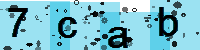Capcha code
