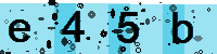 Capcha code