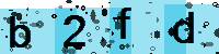Capcha code