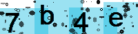 Capcha code